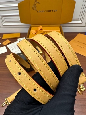 Valise latérale Presbyopic de sac du monogramme P.M. de tronc de Louis Vuitton BT de toile de Brown