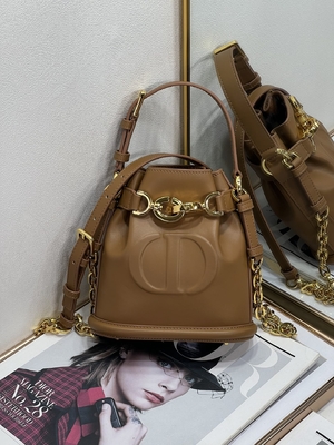CD de relief Christian Dior Sport Bag Calfskin de C'est Dior Bag Gold Saddle